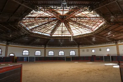 Plaza de toros — espacio de Project X